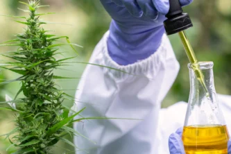 שמן CBD מומלץ לאישה